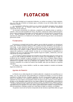 FLOTACION.pdf